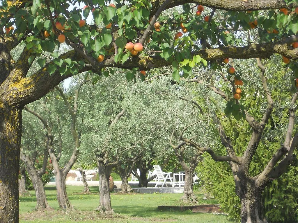 Le Mas Du Platane Bed & Breakfast Cavaillon France
