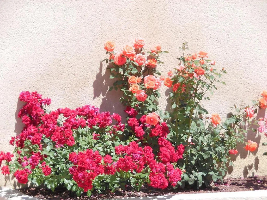 Le Mas Du Platane Bed and Breakfast Cavaillon Bed & Breakfast